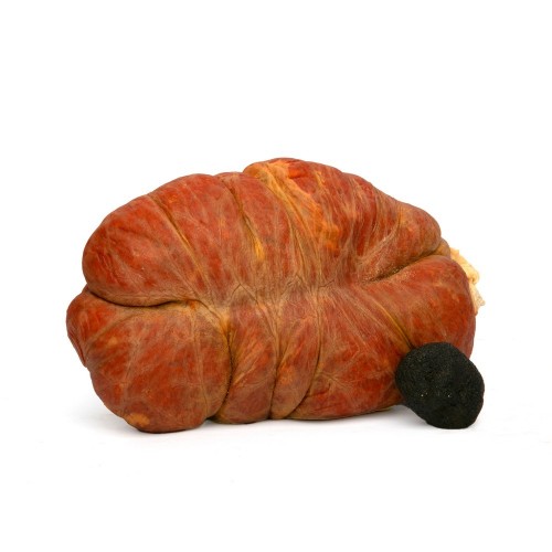 copy of Sobrasada mallorquina